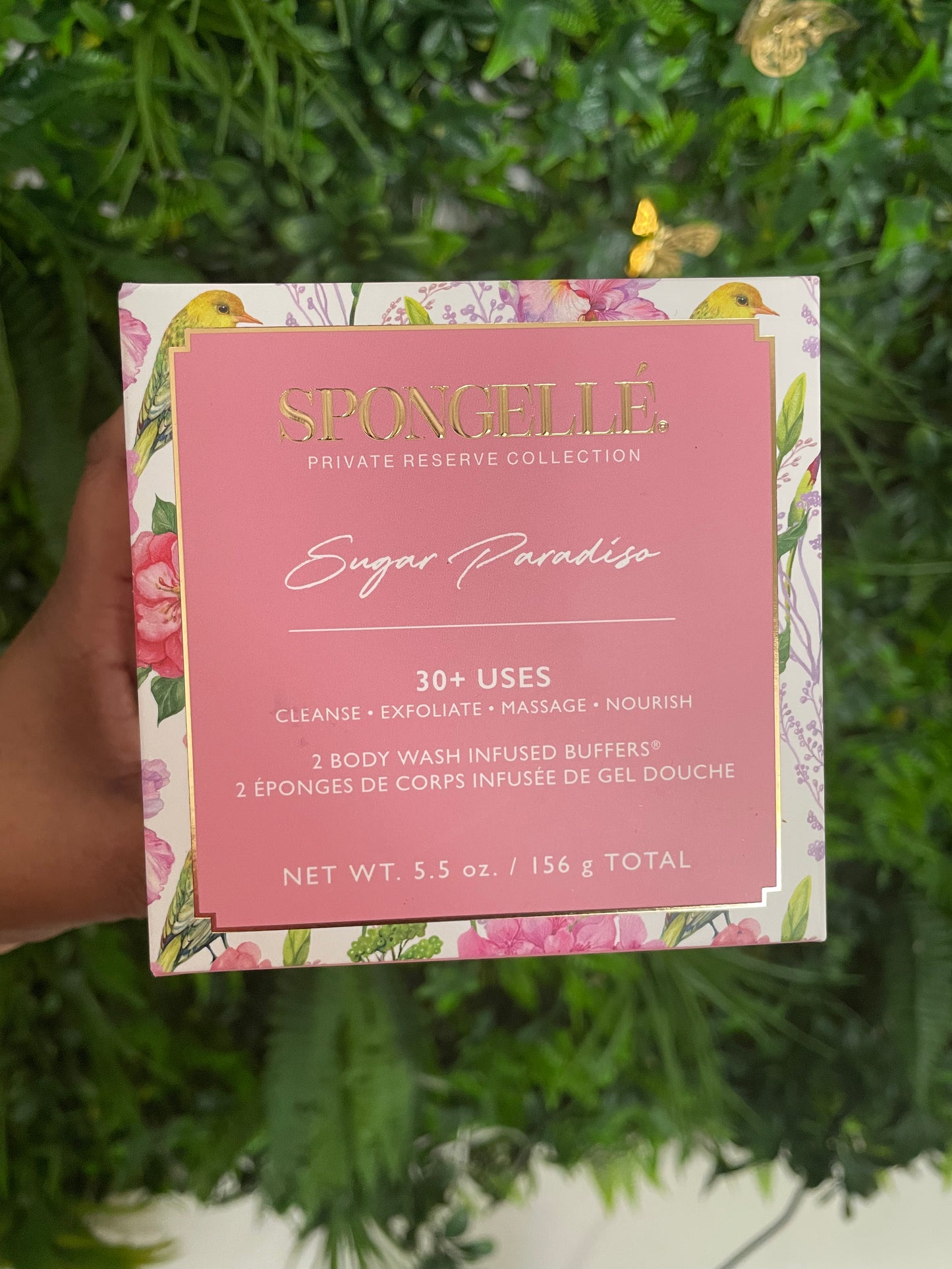 Spongelle Body Buffers